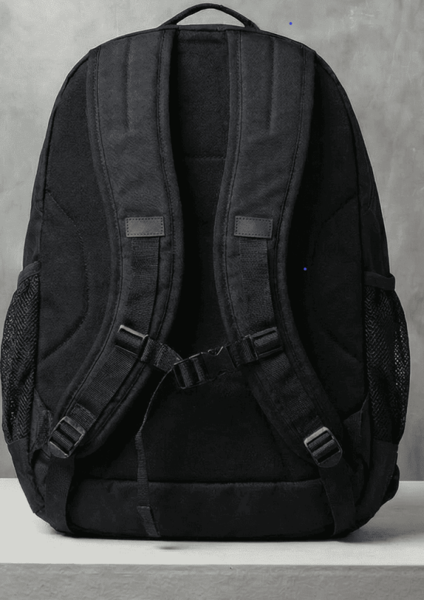 back view north North Face Jester Backpack